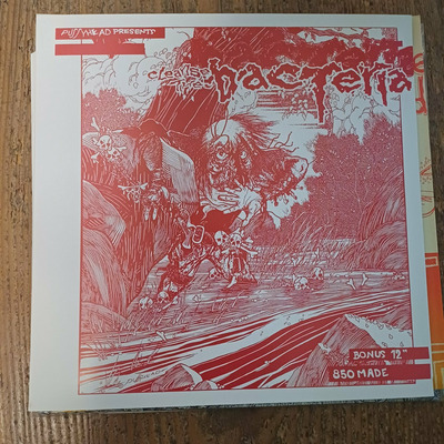 CLEANSE THE BACTERIA  Bonus 12" Boot